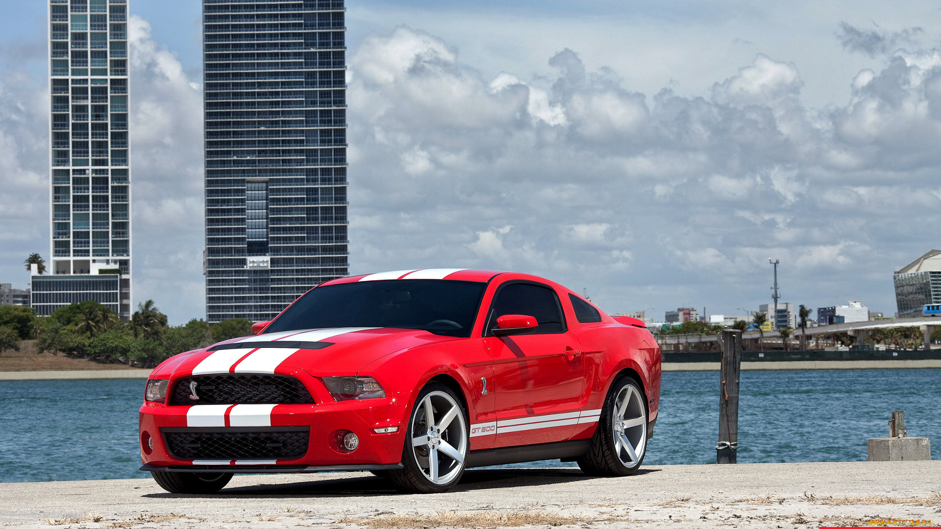 mustang, , ford, motor, company, 